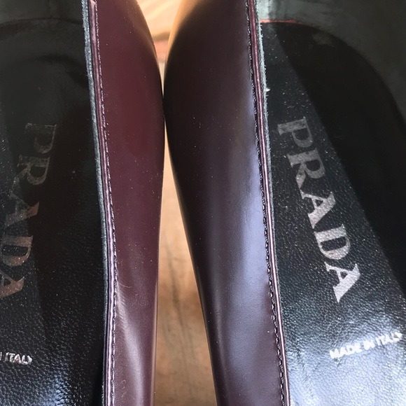 Meet your Posher, Tara Dactyl - Picture 5 of 5